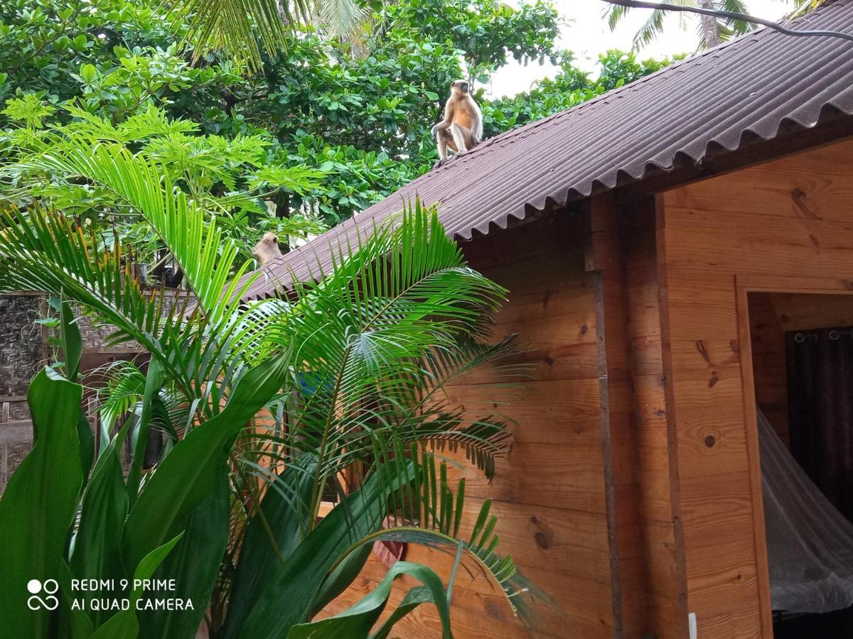 Magic World Hotel Palolem Exterior foto